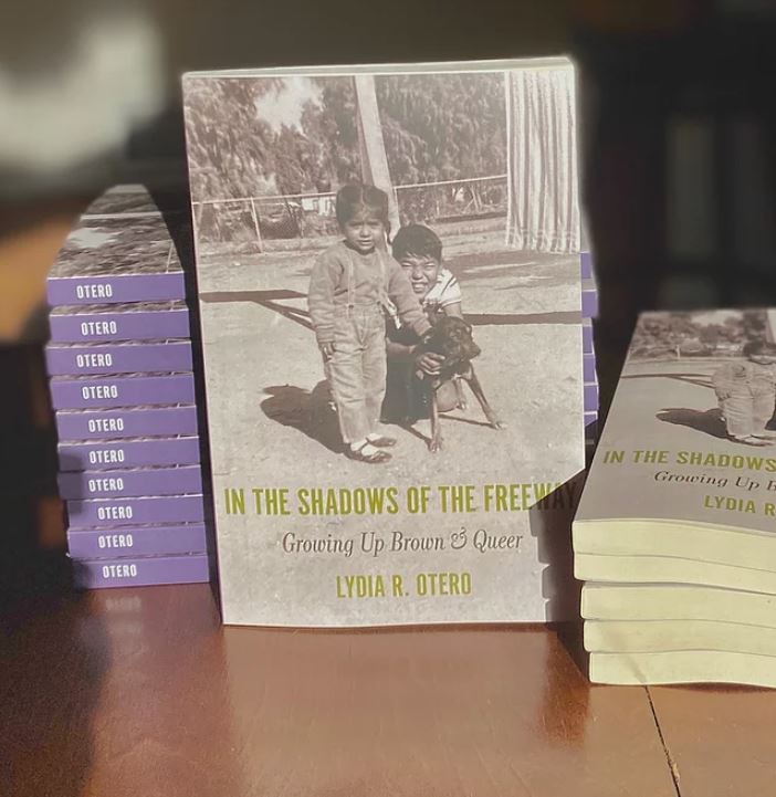 Lydia Otero's in The Shadow of the Freeway